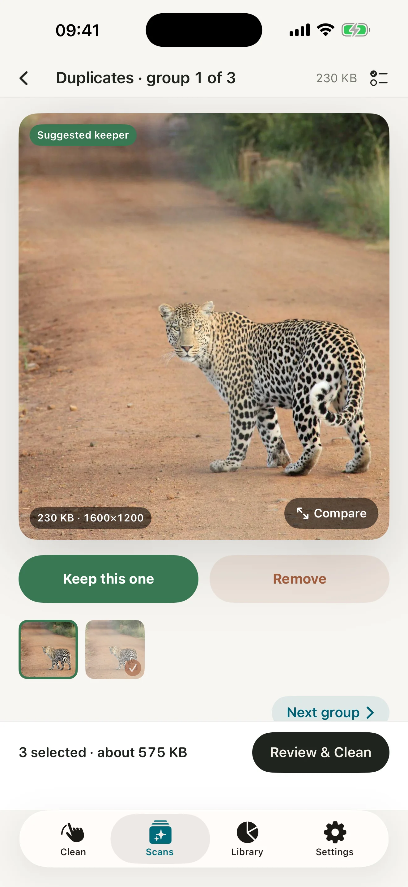 Lighten Screenshot - Comparing duplicates with a suggested keeper